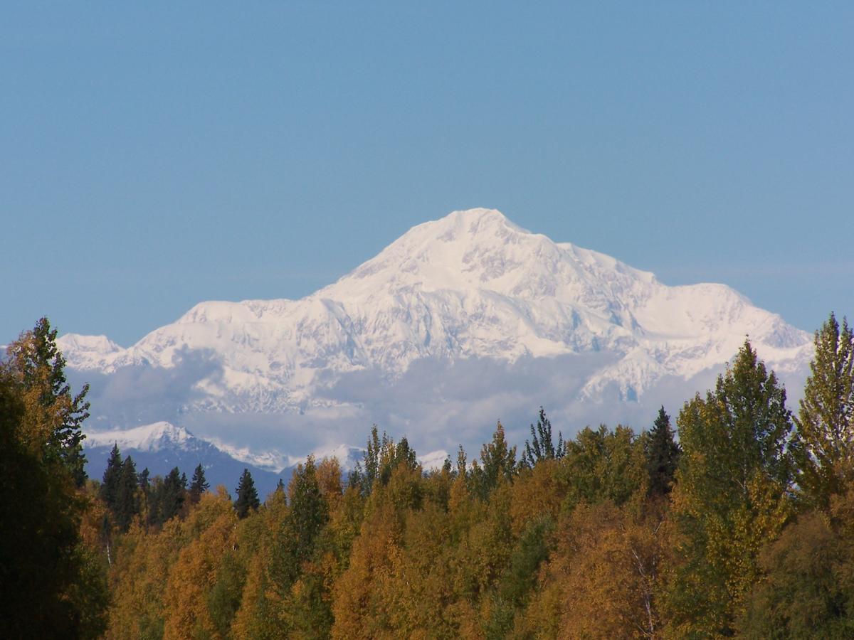 Denali Primrose Bed & Breakfast Healy Exterior photo